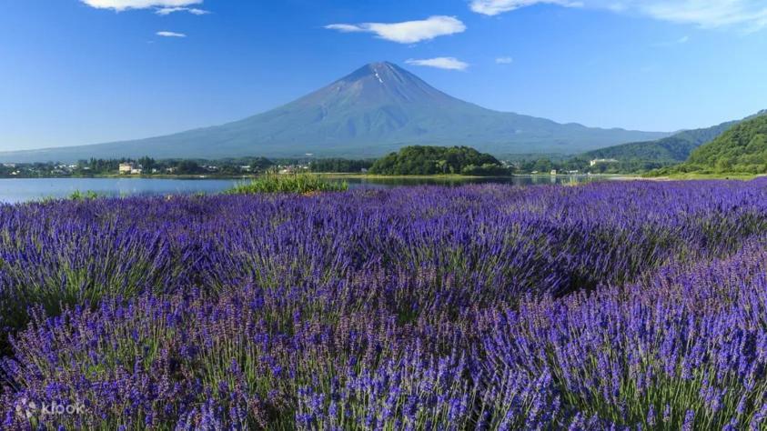 Fuji Cottage Fudzsikavagucsiko Kültér fotó